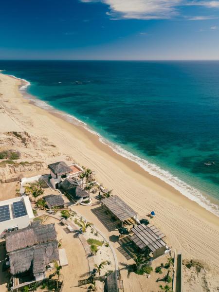 Liebre Matrera, Rezerwuj  San Jose del Cabo Los Cabos International Airport