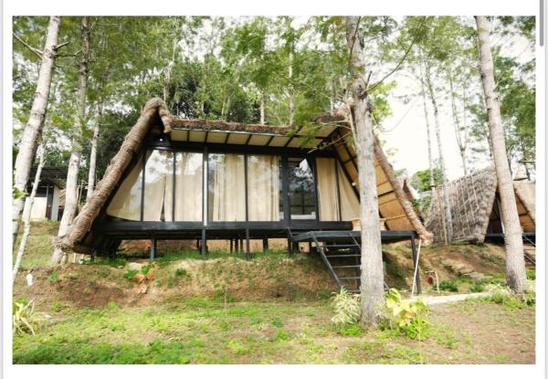 Lil Thatched camp, Rezerwuj  Kanthalloor Nowe Delhi