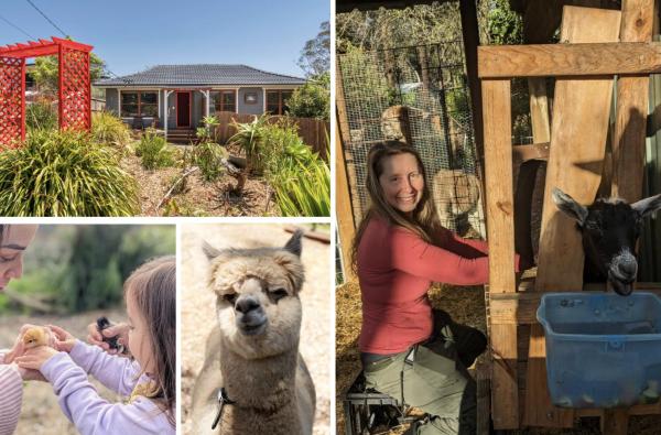 Blue Mountains Urban Farm Stay near Sydney, Rezerwuj  Hazelbrook New South Wales