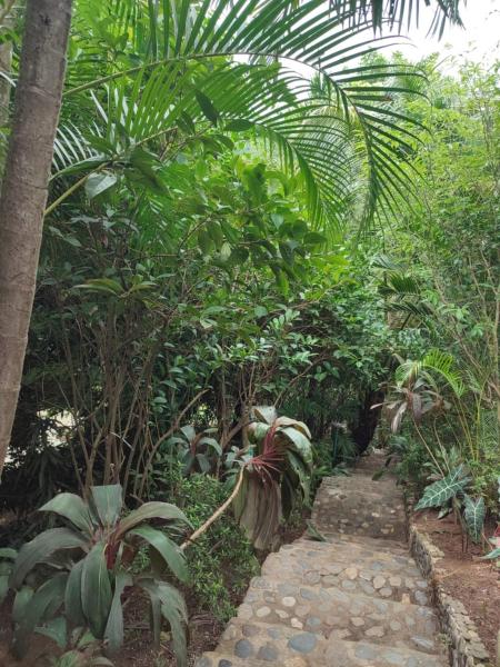 Hotel San Rafael, Rezerwuj  Santa Marta Magdalena