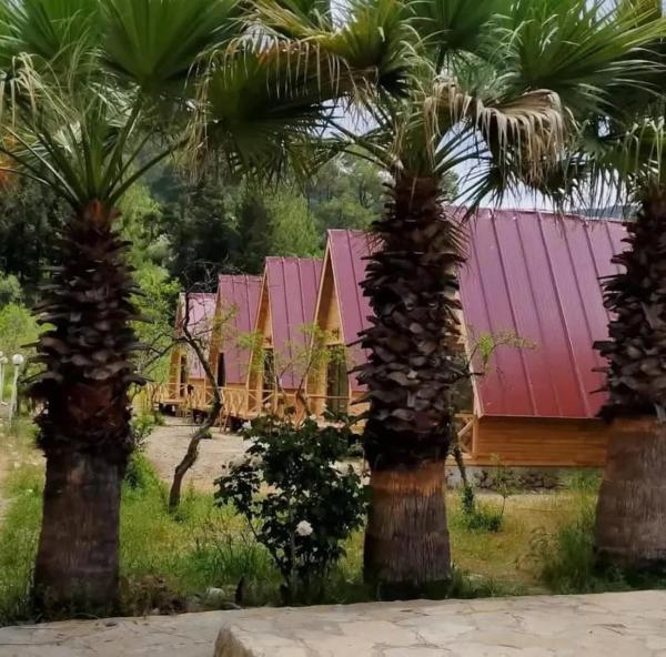 donkisot dogal yasam, Rezerwuj  Yazir Mediterranean Region Turkey