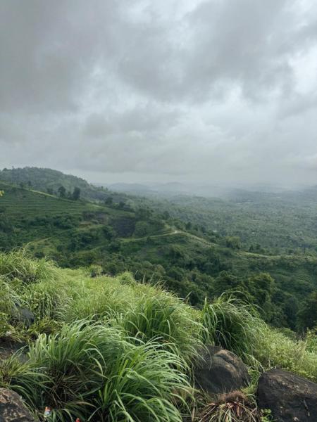 Banasura Wayanad, Rezerwuj  Meenangadi Wayanad