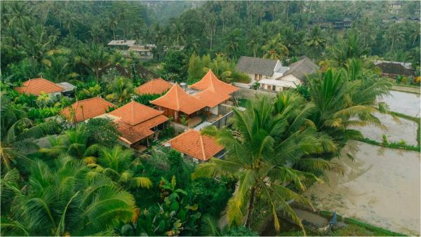SRI AMERTA villa, Rezerwuj  Hotele w Bali z Basenem, Basen