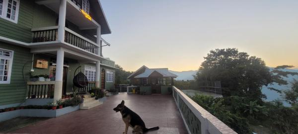 Ringkingpong homestay, Rezerwuj  Kalimpong West Bengal
