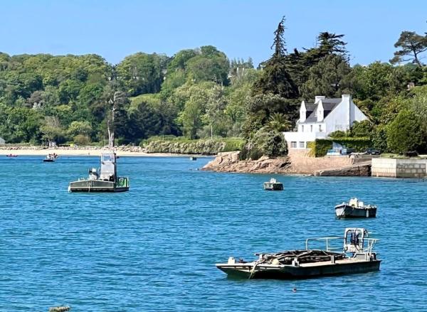 BB les pieds dans L\eau CARANTEC, Rezerwuj  Carantec Finistère