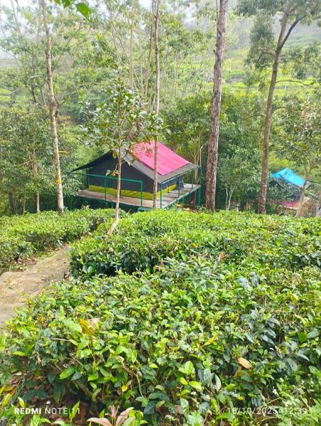 Organic Farmers Tent & Trekking, Rezerwuj  Yedapalli Tamil Nadu