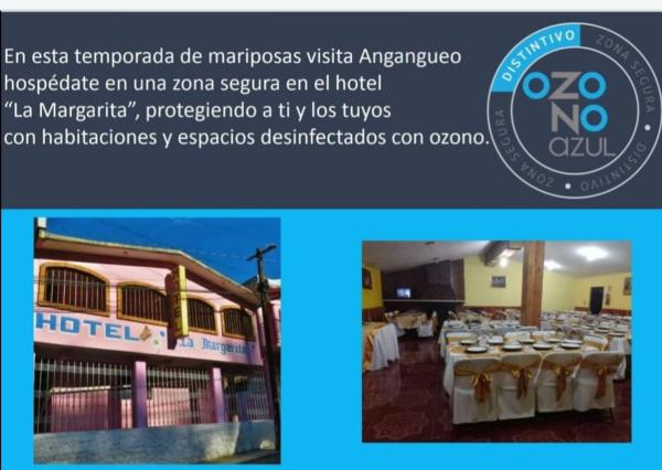 Hotel La Margarita, Rezerwuj Hotel Hotele 3-gwiazdkowe w Michoacan, 3*