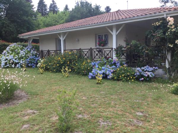 Villa avec grand jardin pour 6 personnes proche lac et océan, Rezerwuj  Magescq Landes