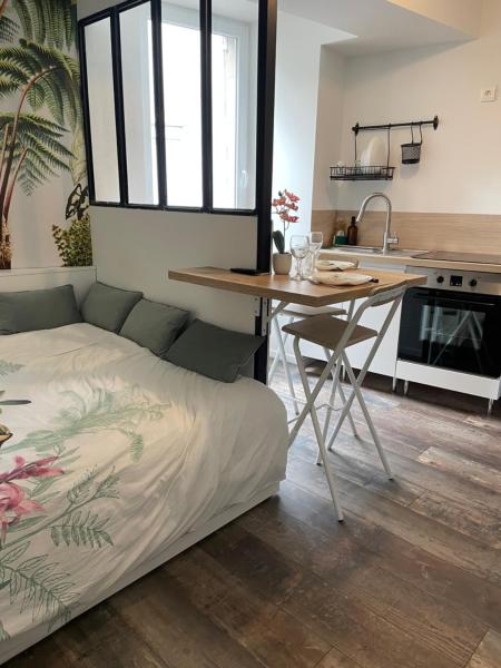 CLIMATISÉ appartement design hypercentre Gare & espresso offert, Rezerwuj  Castelnaudary Canal du Midi