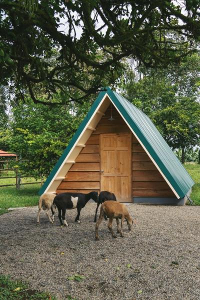 Musasana Wellness Farm, Rezerwuj  Puerto Viejo Heredia