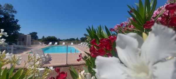 Porto Vecchio - Résidence RIVIERA- Villa Santa Giulia, Rezerwuj  Hotele w Korsyka z Basenem, Basen