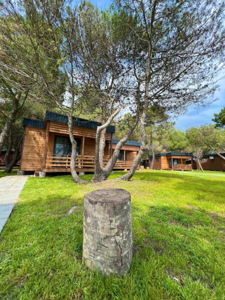 Imperial Family Bungalows, Rezerwuj  Hotele w Ulcinj County z Basenem, Basen