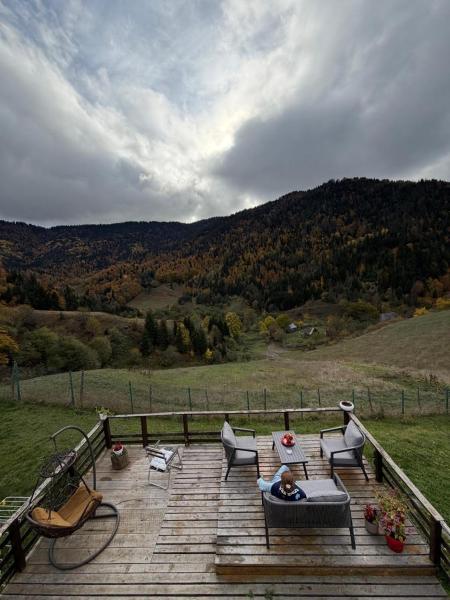 Mitarbi Silence - cozy holiday cottages in mountains, Rezerwuj  Borjomi Samckhe Javakheti