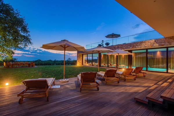 Elegant Istria Villa 18M Private Pool Villa Novica Platinum 4 Bedrooms, Rezerwuj  Hotele w Jasenovica z Basenem, Basen