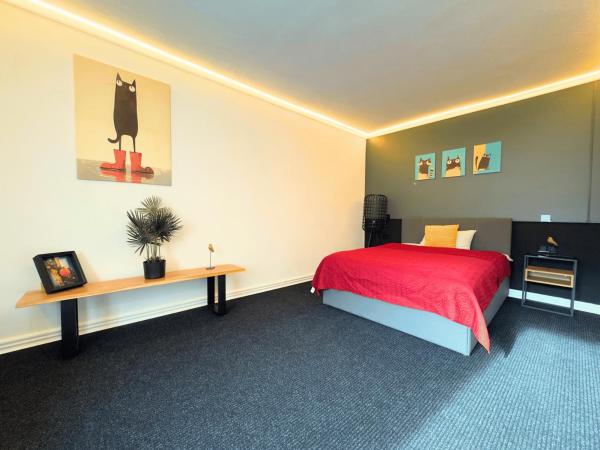 River Apartments & Wellness, Rezerwuj Apartament Hotele SPA w Transylvania, SPA