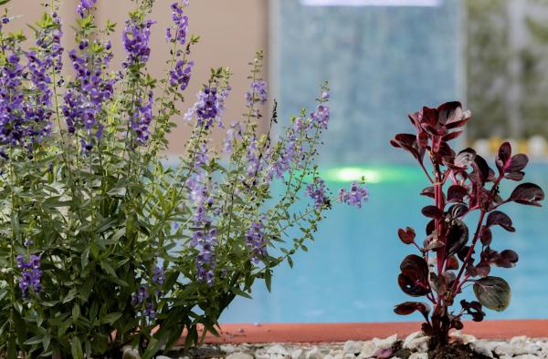 Macaws Villa, Rezerwuj  Hotele w Cartago z Basenem, Basen