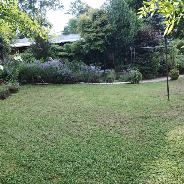Cabaña Petalos Villarrica bungalows 3 personas, Rezerwuj  Villarrica Lake 