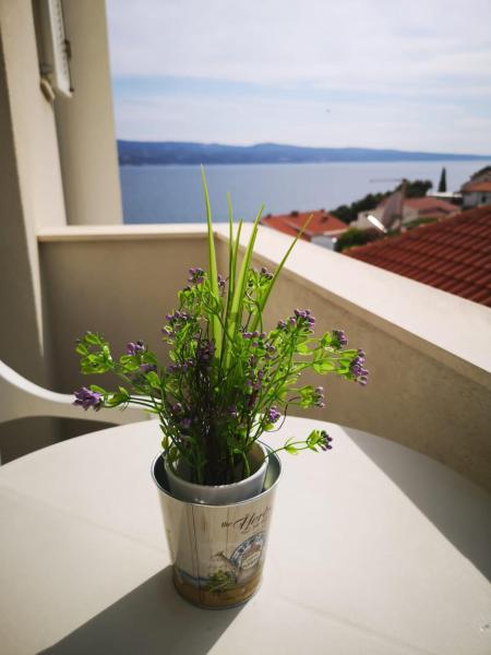 Anic Apartments Stanići, Rezerwuj Apartament Hotele w Split-Dalmatia County z parkingiem, Parking