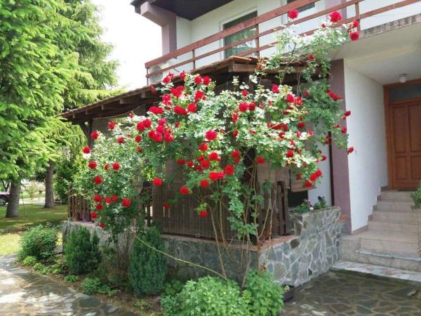 Riverside Villa Matka, Rezerwuj  Hotele w Skopje z Basenem, Basen
