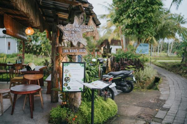 Sawah Manis Guest House, Rezerwuj  Hotele w Bali z basenem, Basen